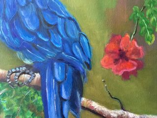 Cuadro pintura al óleo de Loro azul OFERTA