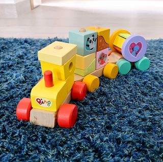 Sevi Trudi Trenino di Bing