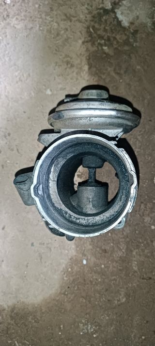Egr Mercedes 270
