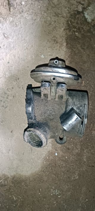 Egr Mercedes 270
