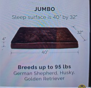 Materasso cani nuovo taglia jumbo