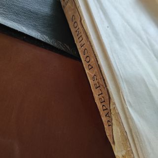 Papeles póstumos del Club Pickwick