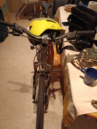 Bicicleta top bike