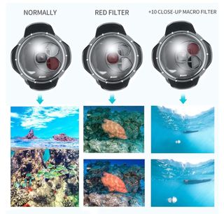 Shoot Official 6.0 Dome Port