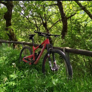 Bici Focus 01E EVO 29" 
