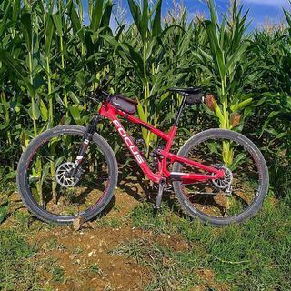 Bici Focus 01E EVO 29" 