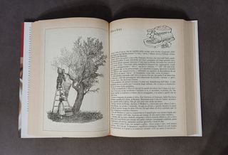 Libri di cucina