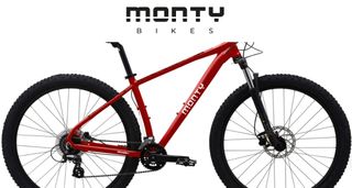 BICICLETA MONTY M3 29"ALUMINIO. DISC