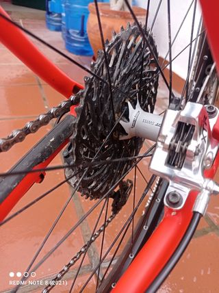 Trek Procaliber