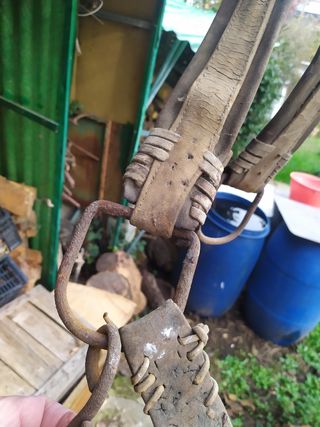 Antica briglia per buoi
