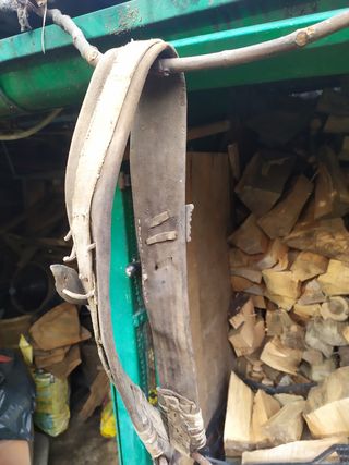 Antica briglia per buoi