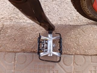 Bicicleta Focus de 29"