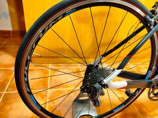 Orbea orca m30 talla 51 ultegra di2