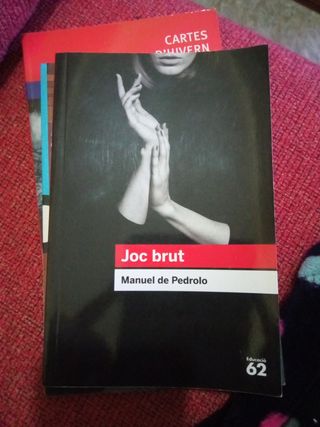 Joc brut