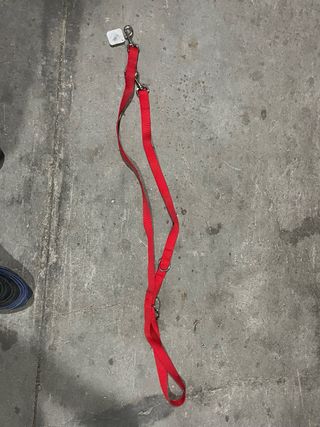 Guinzaglio addestramento