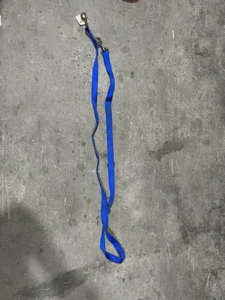 Guinzaglio addestramento