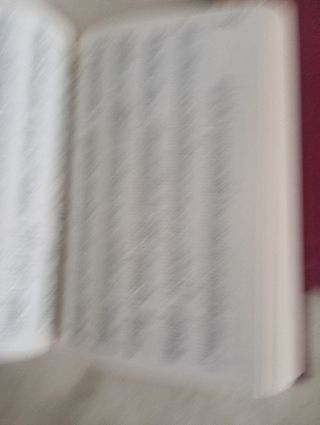 Gran Sopena sinónimos y asociacion de ideas