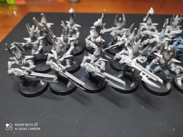 Drukhari / Eldar orcuros