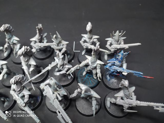 Drukhari / Eldar orcuros