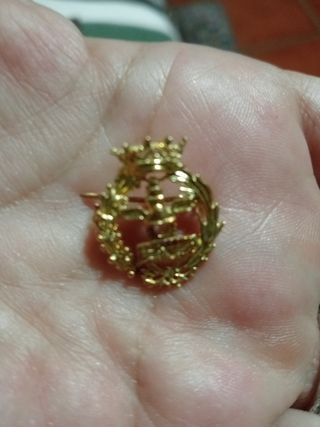 Insignia oro de empresariales