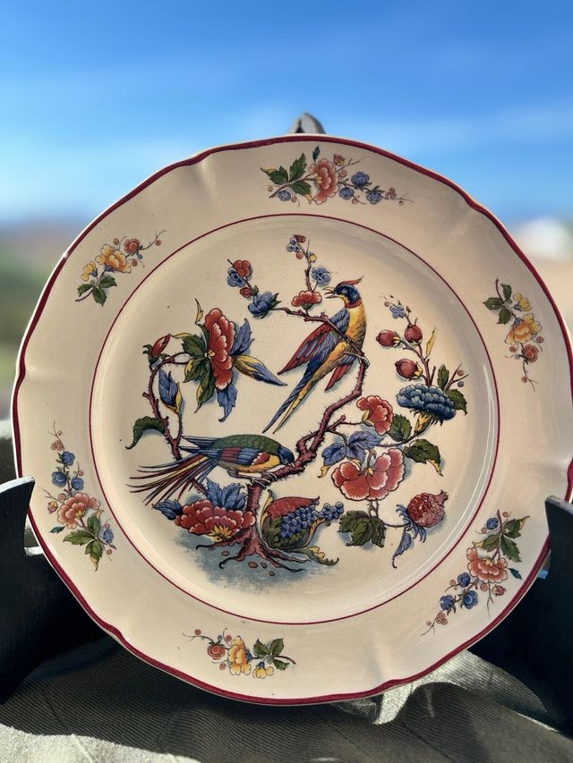 Piatti Rouen Villeroy & Boch M.