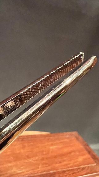 PINZA GRANDE UTIL BONSAI