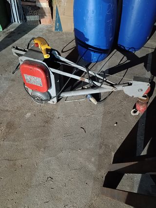 Polipasto Minor