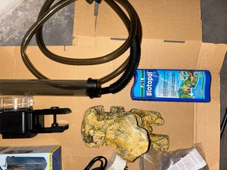 Acuario y complementos