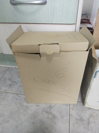 Champañera + 5 copas