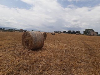 Solar en venta en Mas Mora - Sant Daniel en Tordera