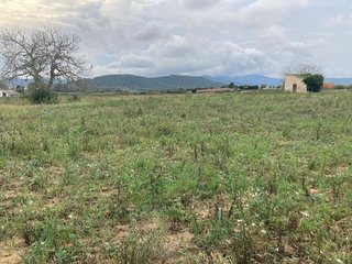 Solar en venta en Mas Mora - Sant Daniel en Tordera