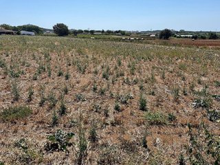 Solar en venta en Mas Mora - Sant Daniel en Tordera
