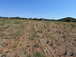 Solar en venta en Mas Mora - Sant Daniel en Tordera