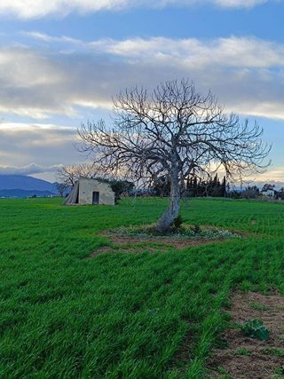 Solar en venta en Mas Mora - Sant Daniel en Tordera