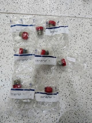 TELEMECANIQUE Pulsateria variada