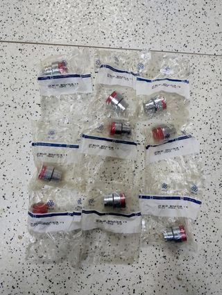 TELEMECANIQUE Pulsateria variada