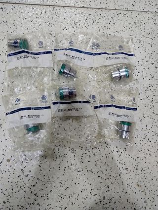 TELEMECANIQUE Pulsateria variada