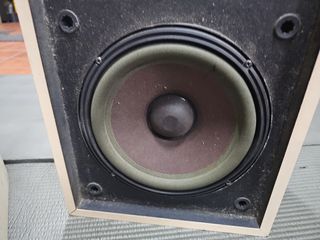 Altavoces Bose 301 Monitor 2