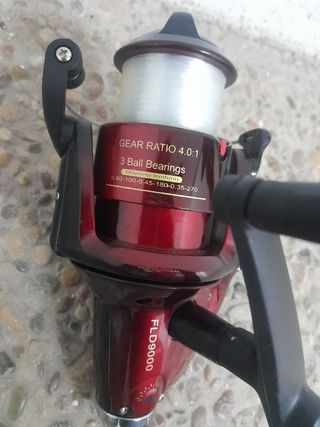 Carrete caña pescar