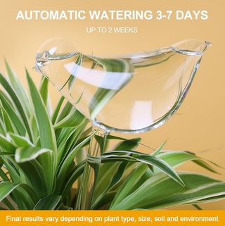 2 GOTEROS DE VIDRIO PARA AUTORIEGO PLANTAS