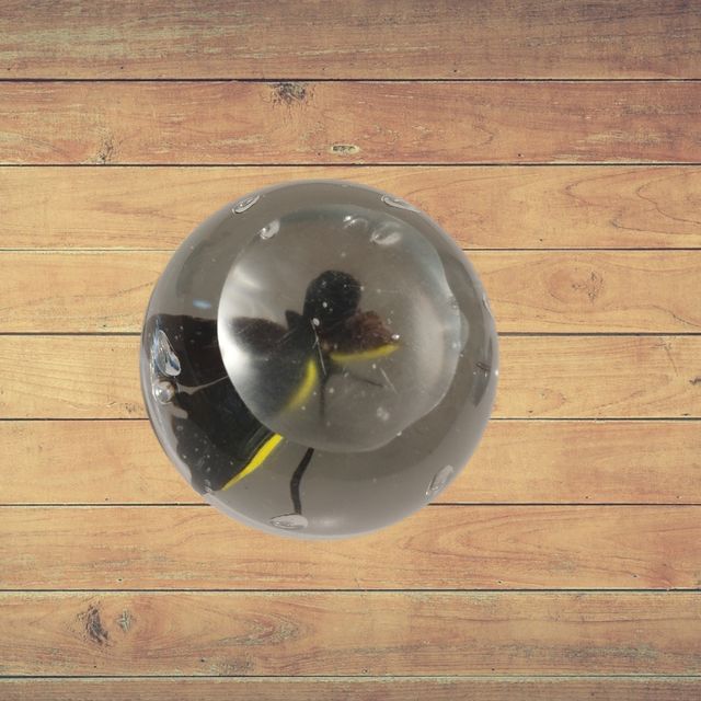 Pisapapeles Bola de cristal