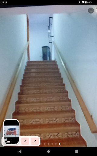 Pintor