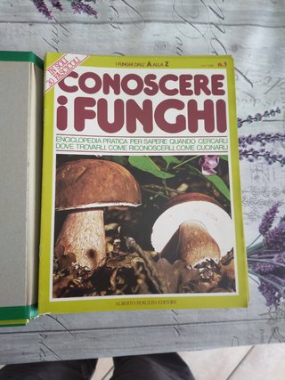 Enciclopedia - Conoscere i funghi Vintage