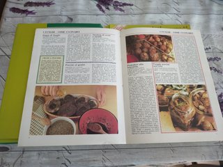 Enciclopedia - Conoscere i funghi Vintage