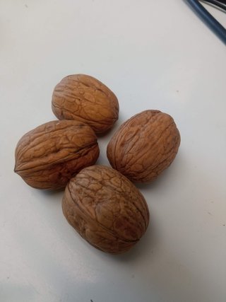 Traspaso de tienda; de alimentación