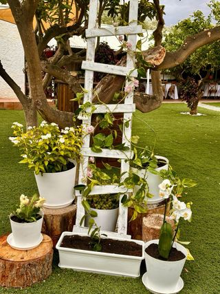 ALQUILER CASA EVENTOS VL3