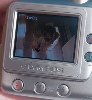 💫 CÁMARA FOTO OLYMPUS DIGITAL 1 GIGA FE 110💫