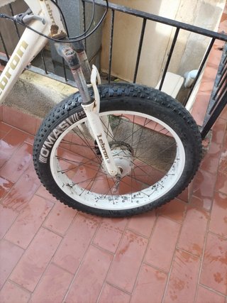 Bicicleta