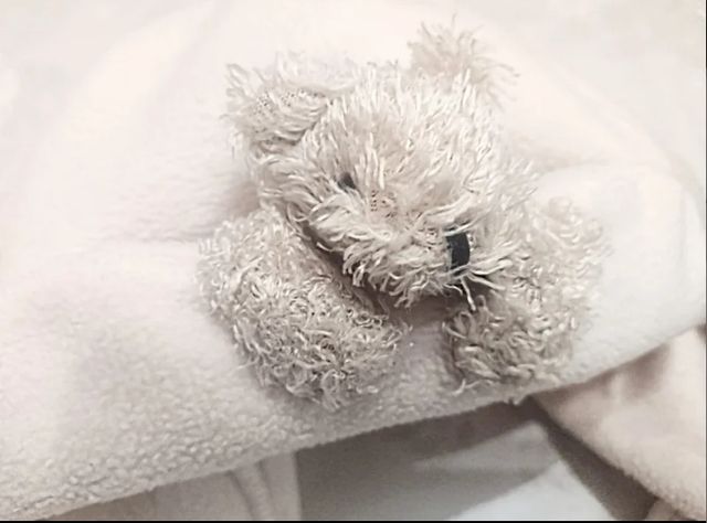 LOTE DE 2 GORROS INFANTILES C & A  INVIERNO ☃️