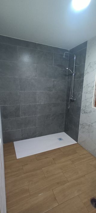 Reforma y multiservicio